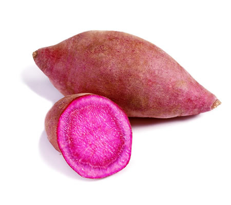 薯類(lèi)烘干機(jī)-河南中森智能